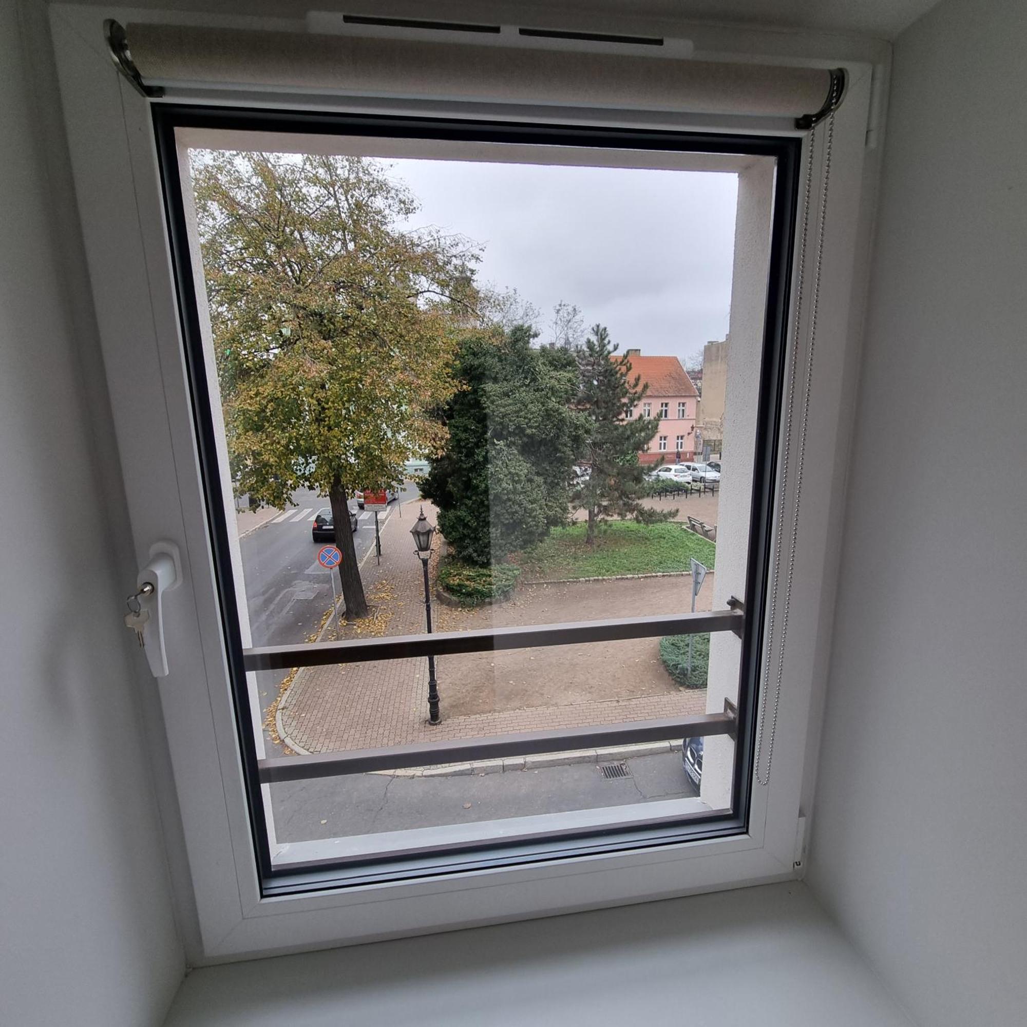 Apartament Centrum 5 莱什诺 外观 照片