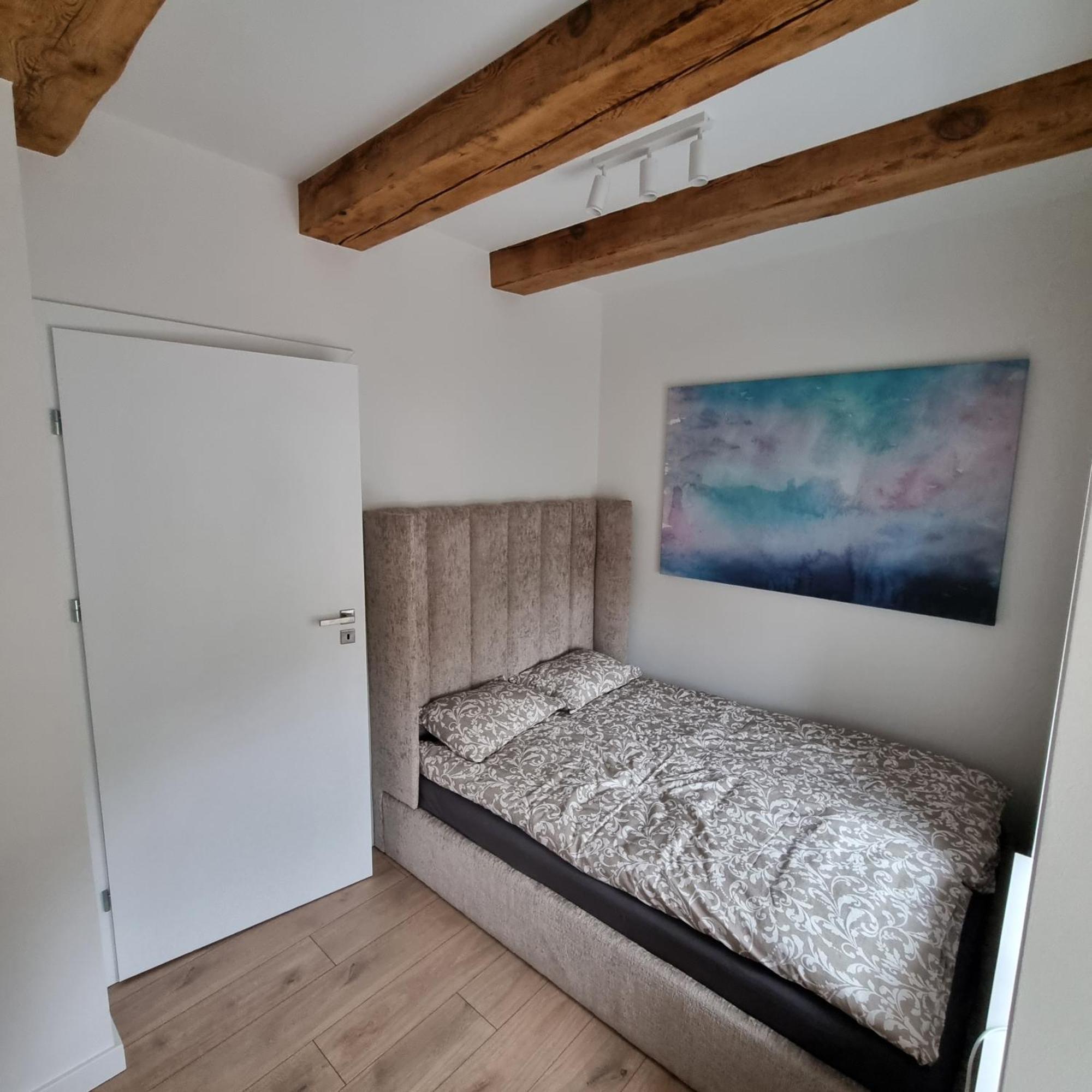 Apartament Centrum 5 莱什诺 外观 照片