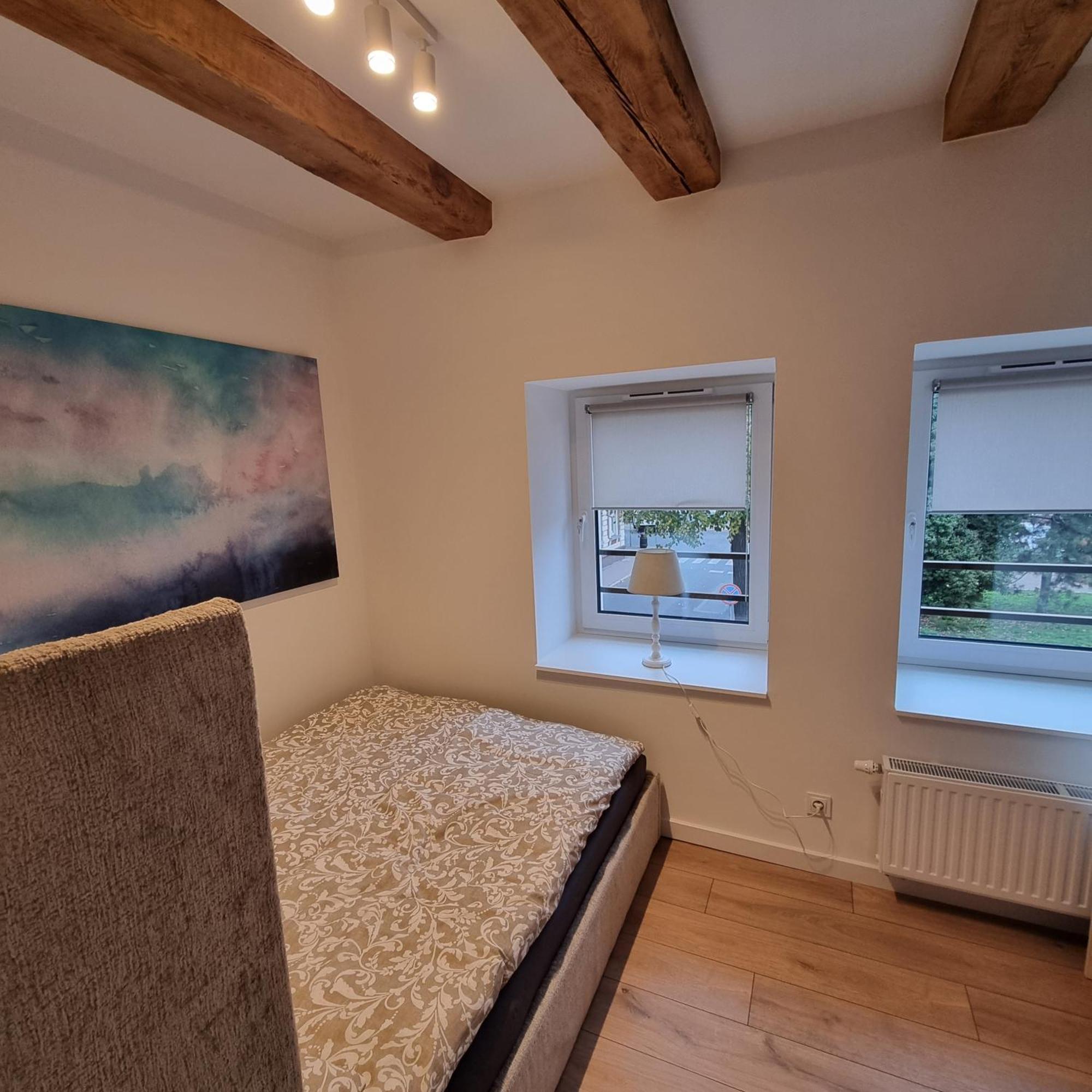 Apartament Centrum 5 莱什诺 外观 照片